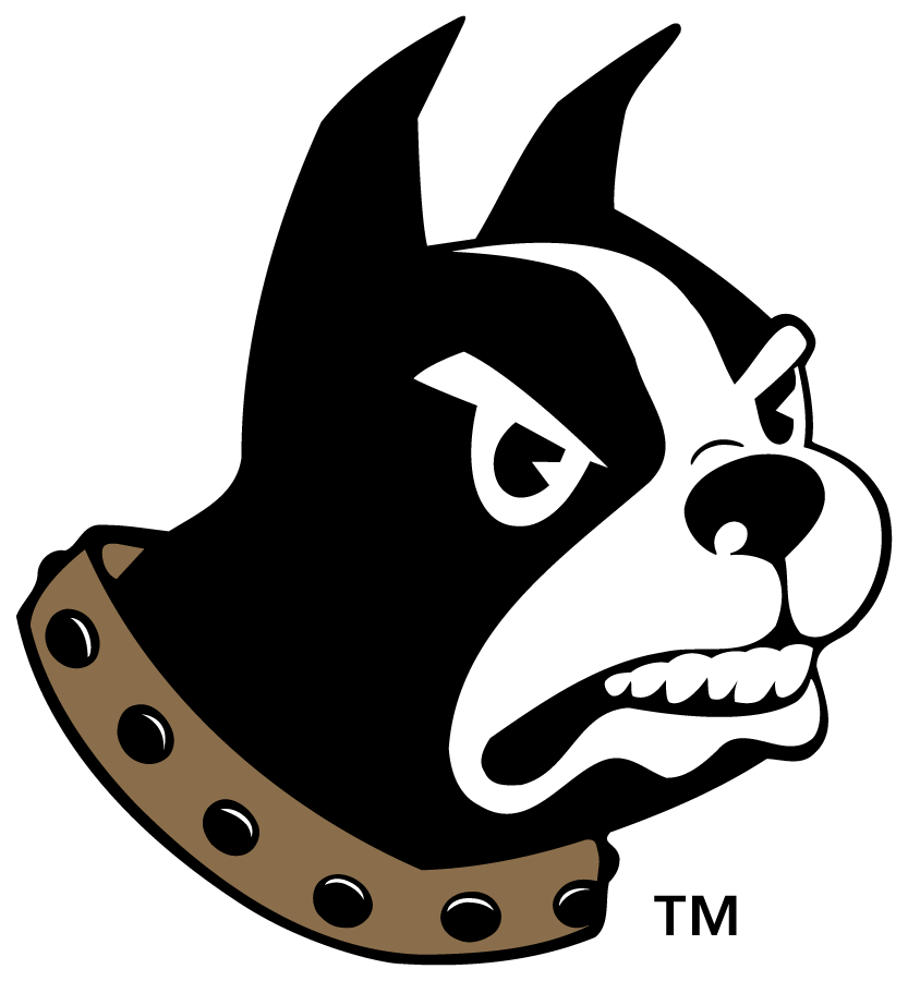 Wofford Terriers 2015-2019 Primary Logo iron on transfers for clothing